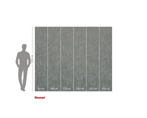 Fototapete mit Blattmuster, Abmessungen 250 mal 300 Zentimeter