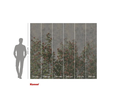 Komar Fototapete mit Rosenmotiv und Massangaben.