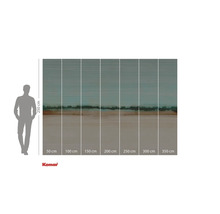 Papier peint photo avec motif de paysage abstrait et indications de taille.