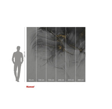 Papier peint photo Komar avec motif abstrait en gris et or, indication des dimensions.