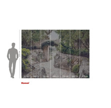 Fototapete mit Gartenweg und Steinmauer