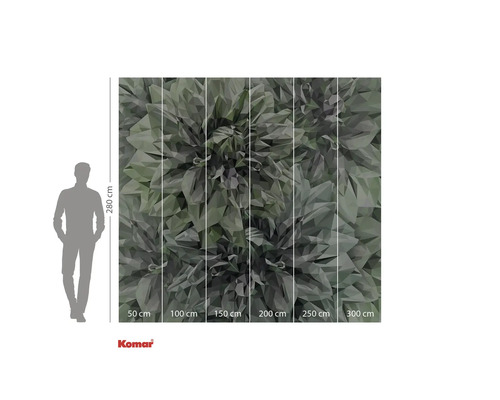 Papier peint photo avec motif de feuilles graphiques et indications de taille