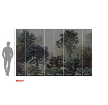 Fototapete mit Waldmotiv und Grössenangaben