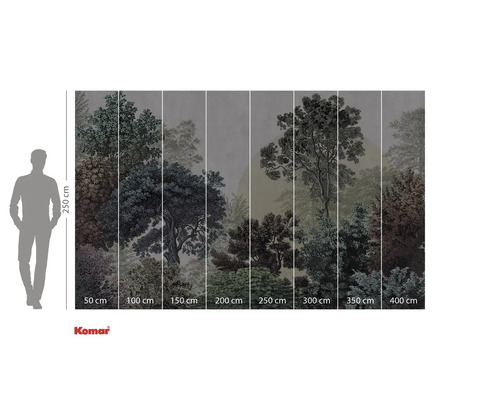 Fototapete mit Waldmotiv und Grössenangaben