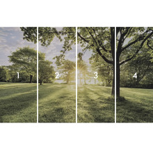 Vierteilige Fototapete mit Baumlandschaft im Park