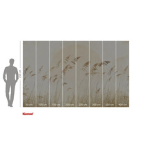 Papier peint photo Komar avec motif de roseaux et indications de taille