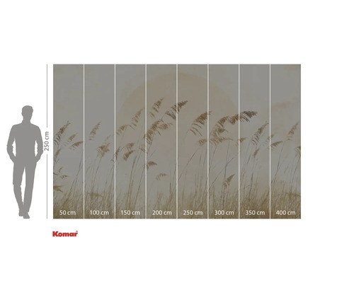 Papier peint photo Komar avec motif de roseaux et indications de taille