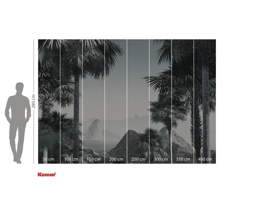 Papier peint photo avec des palmiers et des indications de taille