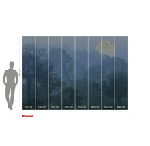 Papier peint photo Komar avec motif jungle et indications de taille