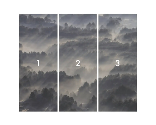 Papier peint photo composé de trois parties avec motif de forêt dans le brouillard