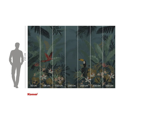 Papier peint photo sur le thème de la jungle, avec perroquet et toucan