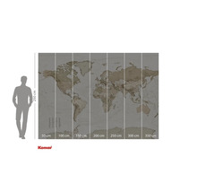 Carte du monde comme papier peint photo avec indications de mesure