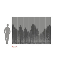 Fototapete mit Waldmotiv und Größenangaben.