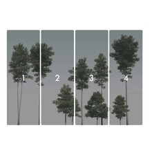 Papier peint forêt en quatre parties avec arbres