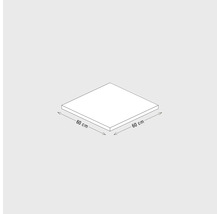 Illustration einer quadratischen Platte mit den Massen 60 x 60 cm.