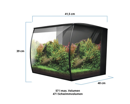 Aquarium avec plantes et dimensions