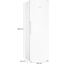 Réfrigérateur Siemens mesurant 186 cm de haut, 65 cm de profondeur et 60 cm de large.