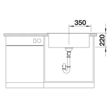 Skizze einer Spüle mit den Maßen 350 mal 220 Millimeter.