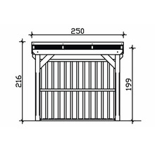 Technische Zeichnung eines Gerätehauses mit Maßangaben 250 x 216 x 199 Zentimeter.