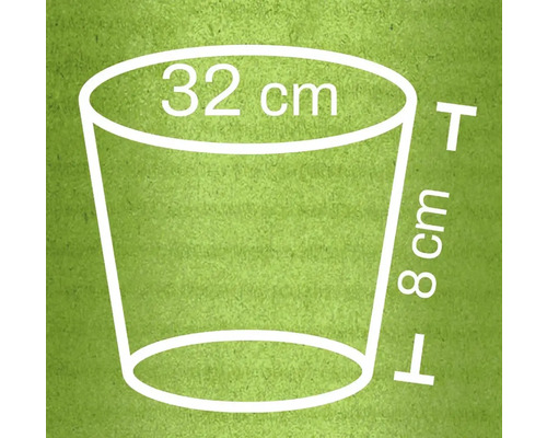 Illustration d'un pot de fleurs avec dimensions : 32 cm de diamètre en haut, 8 cm de hauteur