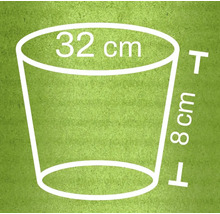 Dimensions du pot de fleurs: diamètre supérieur 32 cm, hauteur 8 cm