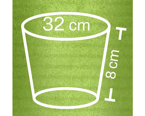 Dimensions du pot de fleurs: diamètre supérieur 32 cm, hauteur 8 cm