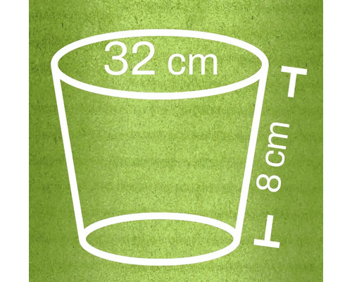 Illustration d'un pot de fleurs mesurant 32 centimètres de diamètre et 8 centimètres de hauteur