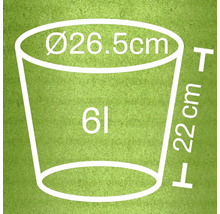 Technische Zeichnung eines Pflanzgefäßes mit den Maßen 26,5 cm Durchmesser und 22 cm Höhe sowie einem Volumen von 6 Litern