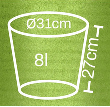 Illustration eines Pflanzgefäßes mit den Maßen 31 cm Durchmesser und 27 cm Höhe sowie einem Volumen von 8 Litern