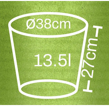 Abmessungen Pflanzgefäß: Durchmesser 38 cm, Höhe 27 cm, Volumen 13,5 Liter