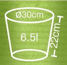 Illustration eines Pflanzgefäßes mit den Maßen Durchmesser 30 cm, Höhe 22 cm und einem Volumen von 6,5 Litern