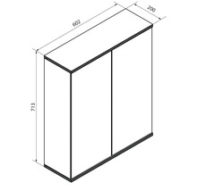 Massskizze für einen zweitürigen Schrank mit den Massen 602 Millimeter Breite, 713 Millimeter Höhe und 200 Millimeter Tiefe.