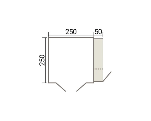 Dessin technique d'un élément carré avec des dimensions de 250 par 250 millimètres et une extension latérale de 50 millimètres.