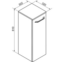 Dessin technique d'un meuble de salle de bains avec une porte et une poignée, hauteur 810 millimètres, largeur 320 millimètres, profondeur 302 millimètres.