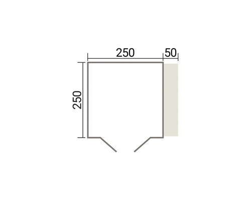 Dessin technique avec des dimensions de 250 par 250 millimètres et une zone supplémentaire de 50 millimètres de large.