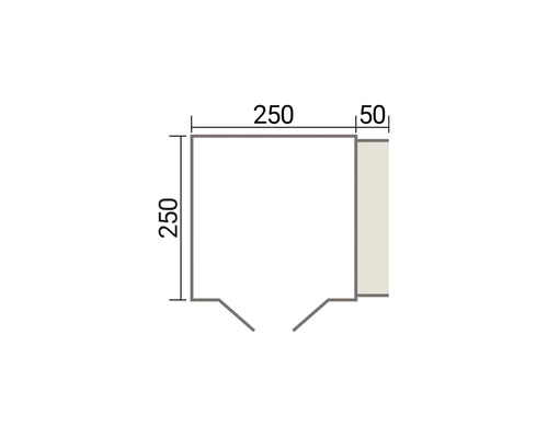 Dessin technique d'un plan au sol avec des dimensions de 250 centimètres sur 250 centimètres et une extension de 50 centimètres.