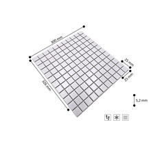 Mosaïque sur trame, 300 par 326 millimètres, carreau 25 par 25 millimètres, épaisseur 5,2 millimètres, antigel, carrelage de sol, zone humide.