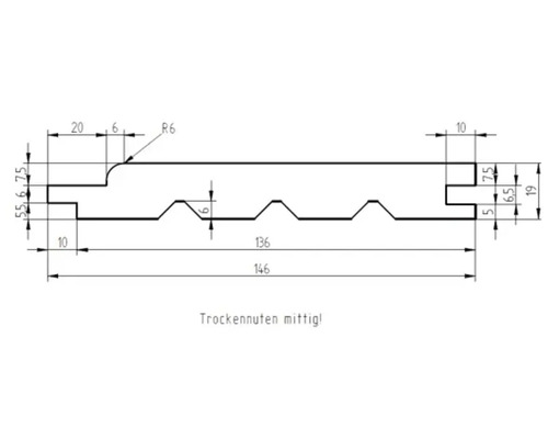 Technische Zeichnung eines Profilholzes mit den Abmessungen 19 mal 146 Millimeter und Trockennuten.
