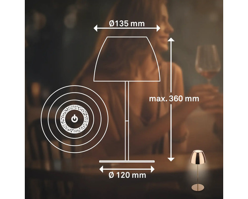 Technische Zeichnung einer Tischleuchte mit Maßen Durchmesser 135 Millimeter, Höhe maximal 360 Millimeter und Basisdurchmesser 120 Millimeter.