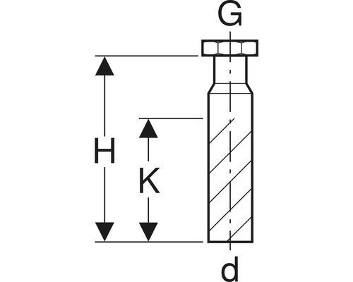 Schéma technique d''une vis avec indications de dimensions