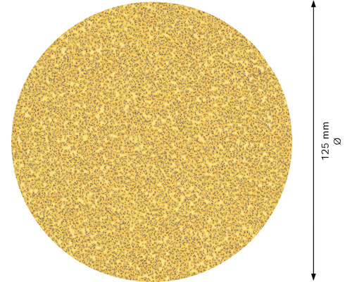 Disque abrasif, diamètre 125 millimètres