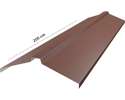 Dachblech 200 cm