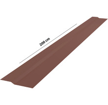Profilé de bord de toit en métal, longueur 200 cm