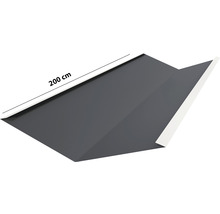 Dachwinkel 200 cm