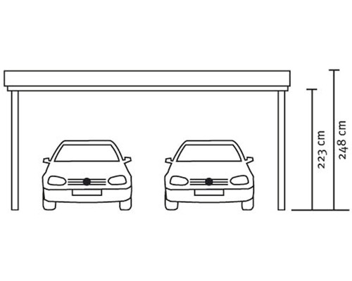 Abbildung eines Doppelcarports mit den Maßen 223 Zentimeter und 248 Zentimeter.