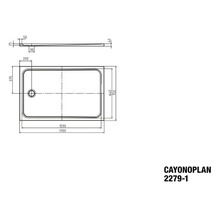 Receveur de douche KALDEWEI CAYONOPLAN 2279-1 75 x 170 x 4 cm blanc alpin mat 370200010711