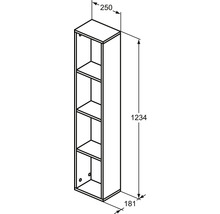Schéma technique d''une armoire haute avec des dimensions de 1234 x 250 x 181 millimètres.