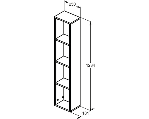 Schéma technique d''une armoire haute avec des dimensions de 1234 x 250 x 181 millimètres.