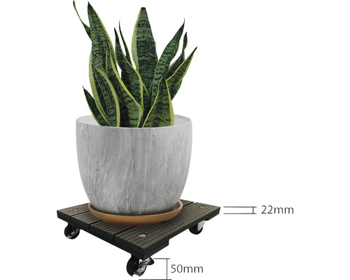 Chariot à plantes avec plante en pot et indications de dimensions