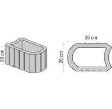 Illustration eines Pflanzsteins mit den Maßen 20 mal 30 Zentimeter.